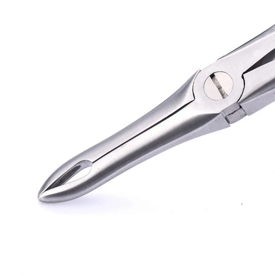 GDC Extraction Forceps Upper Roots - 41 Standard (FX41S)