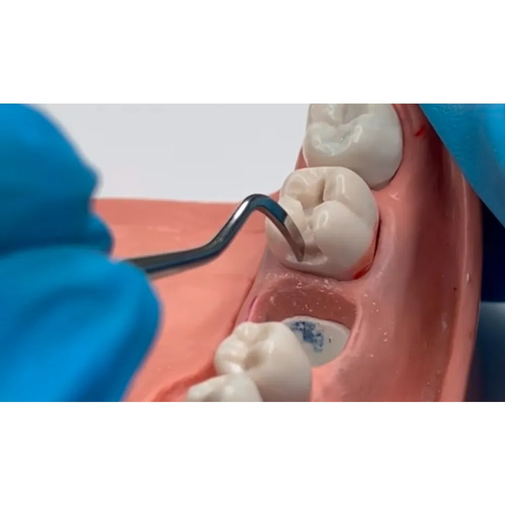 GDC Margin Trimmer - 6 (Mt29h)