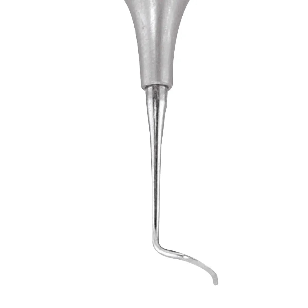 GDC Sickle Scalers Posterior #6 (Scnevi2)