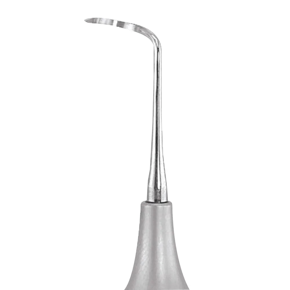 GDC Sickle Scalers Posterior #6 (Scnevi2)