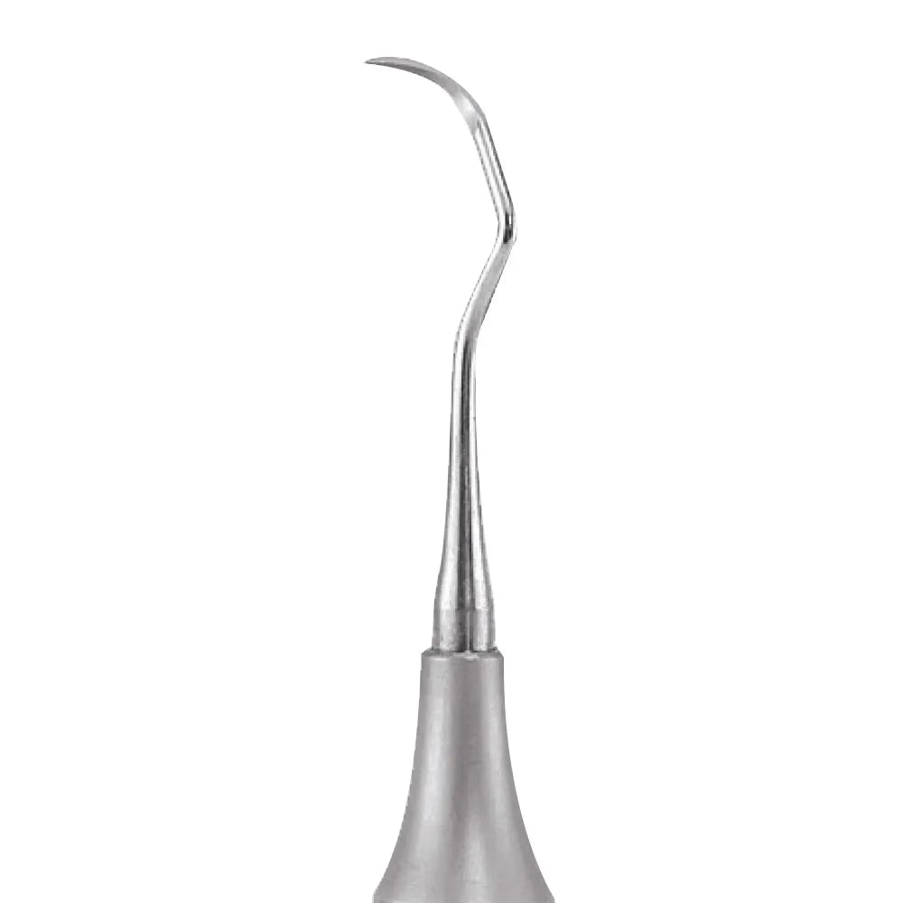 GDC Sickle Scalers Springfield #6 (Ssp2/3)