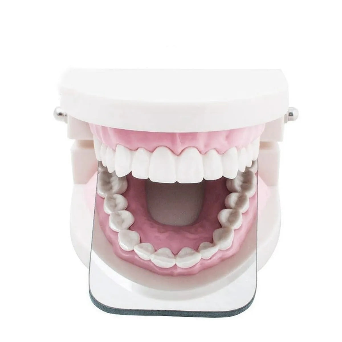 JJ Ortho Intraoral Photographic Mirror
