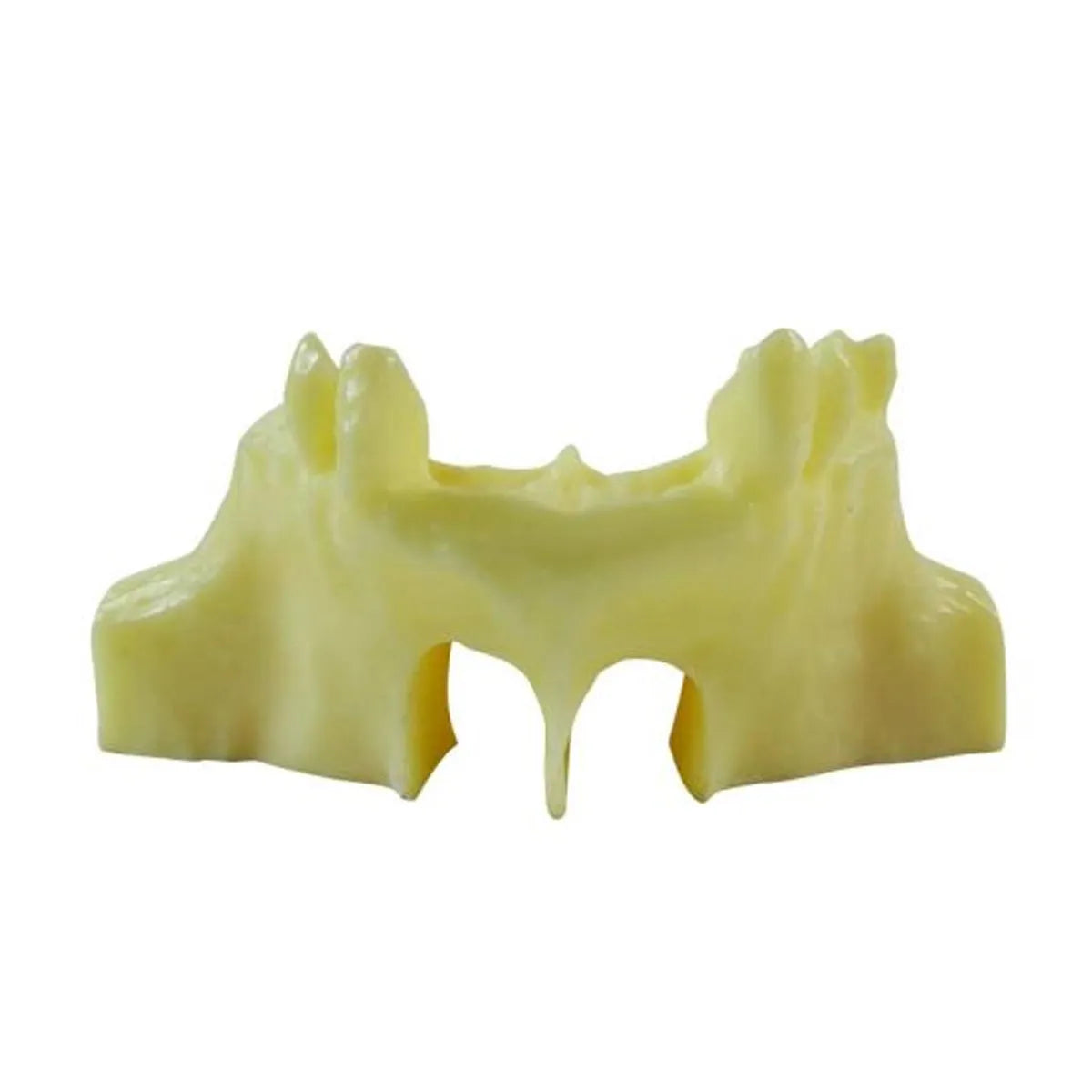 Libral Study Sinus Lift practice Model