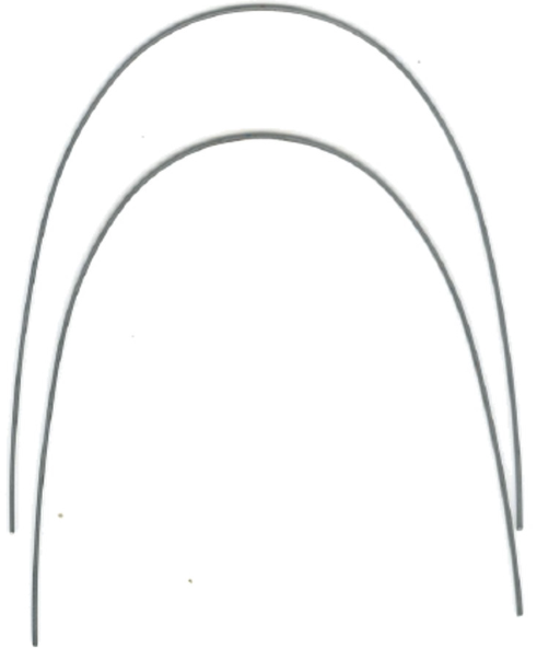 Metro Orthodontics Ovoid Round Super Elastic NiTi Archwires