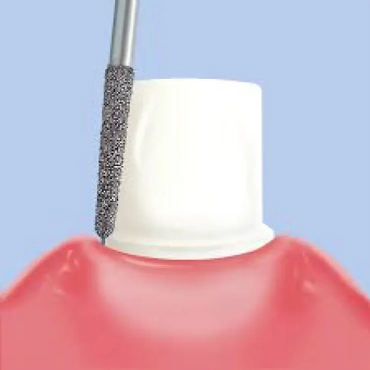 Pivo Straight Ogival End CA Diamond Burs - SO (Pack Of 5)