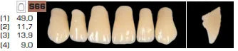 Ruthinium Acryrock Teeth Sets A3 (Pack of 4 sets)