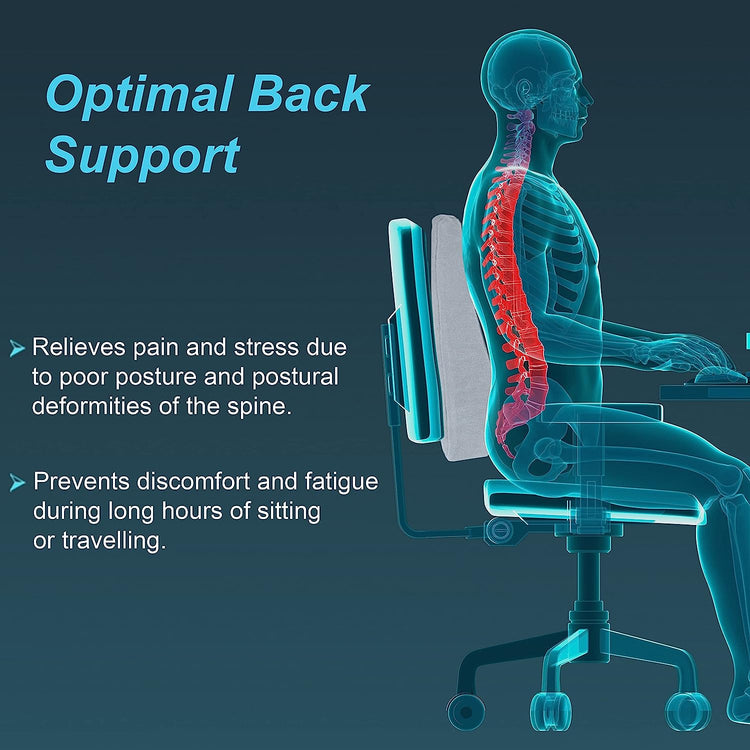 Tynor Back Rest Universal