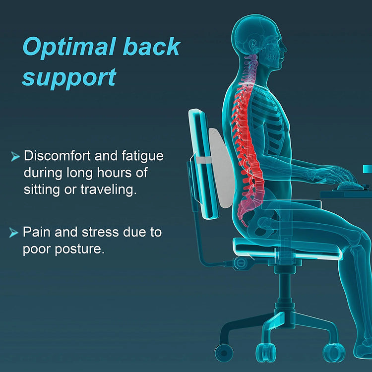 Tynor Urbane Lumbo Back Rest Universal