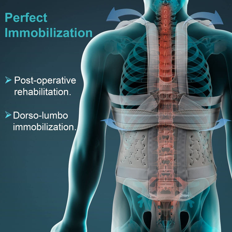 Tynor Urbane Short Taylor Brace