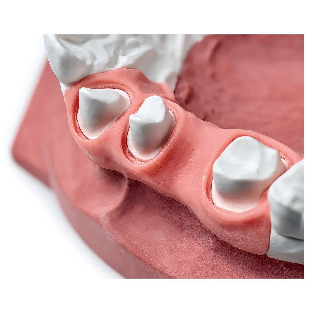 Zhermack Gingifast