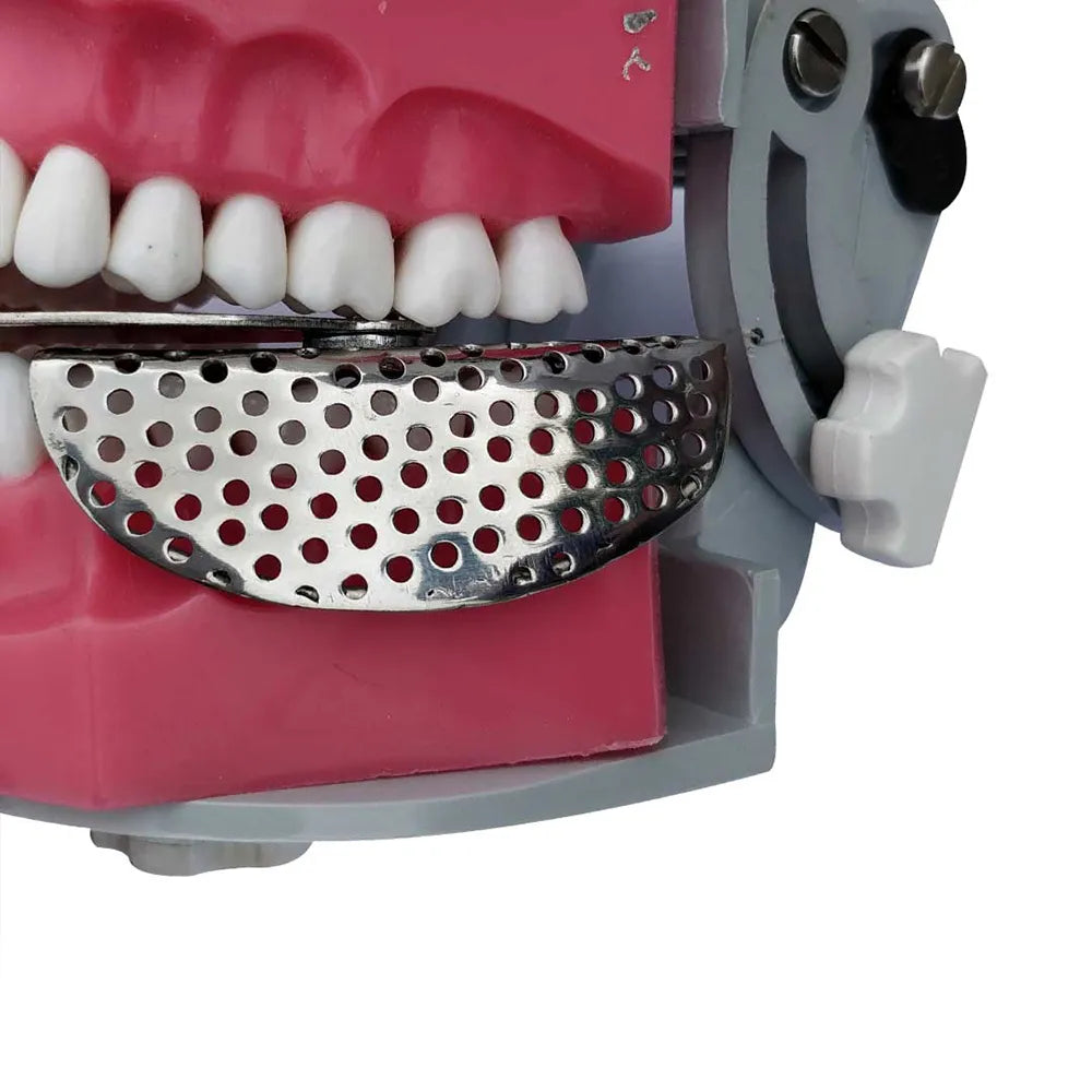 GDC Adjustable Dentulous Perforated (Itrldpa)