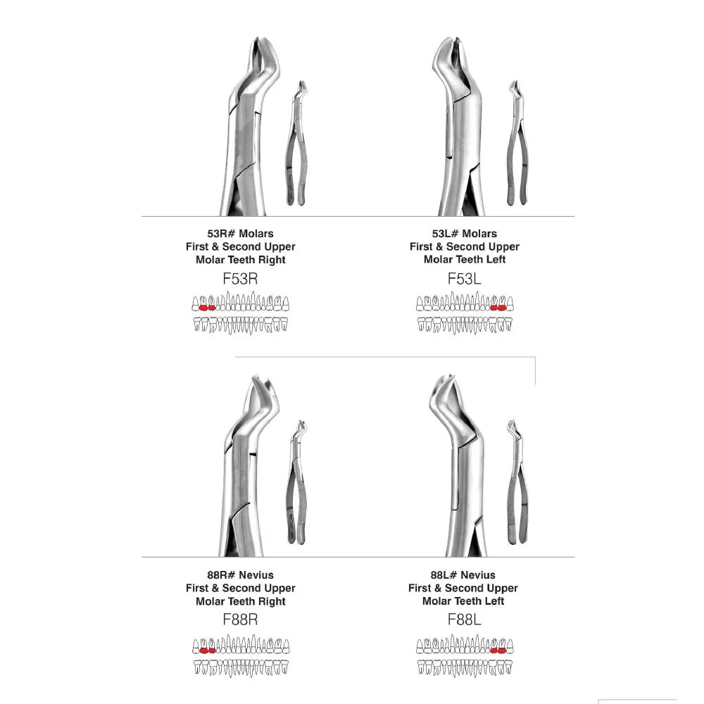 GDC American Extraction Forceps