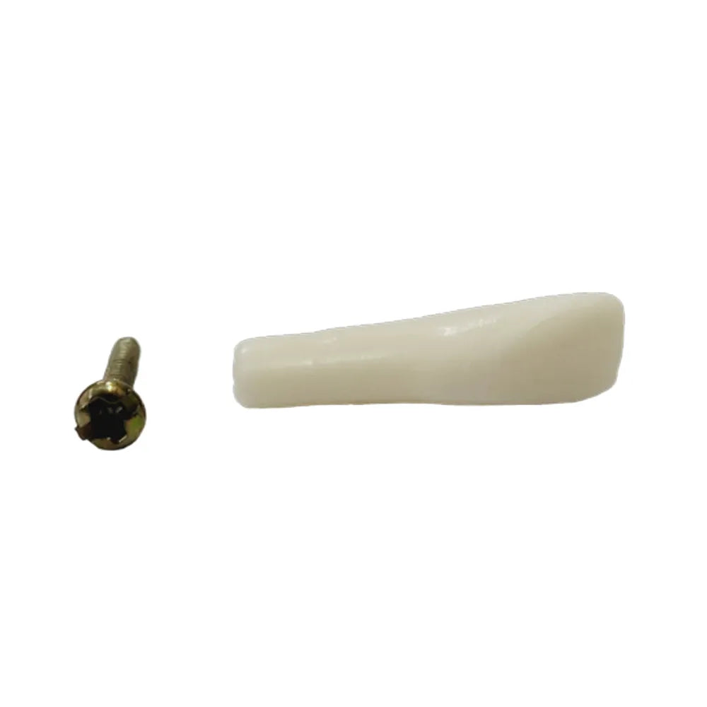 API Typodonts Individual B561 - Adult Size