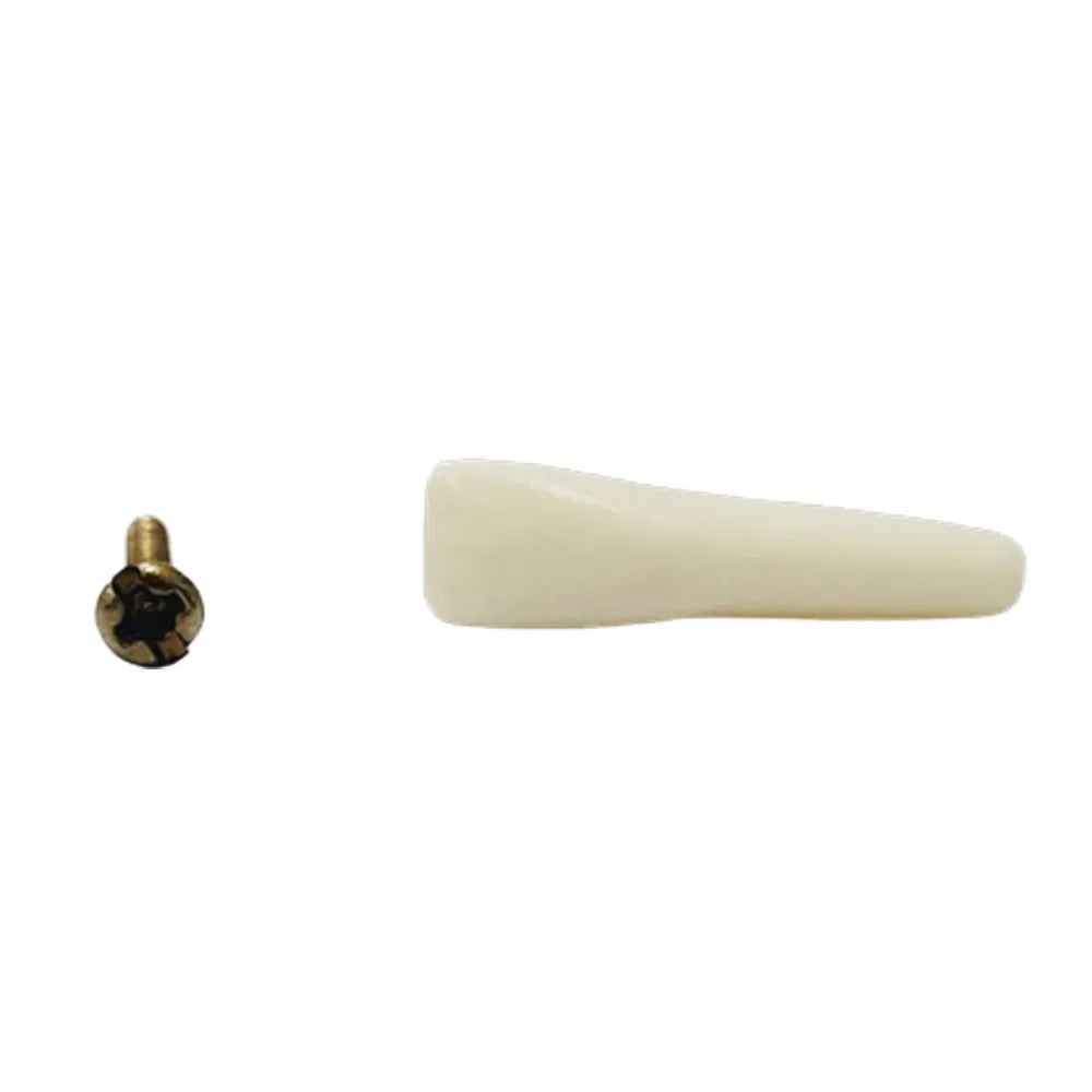 API Typodonts Individual B561 - Adult Size
