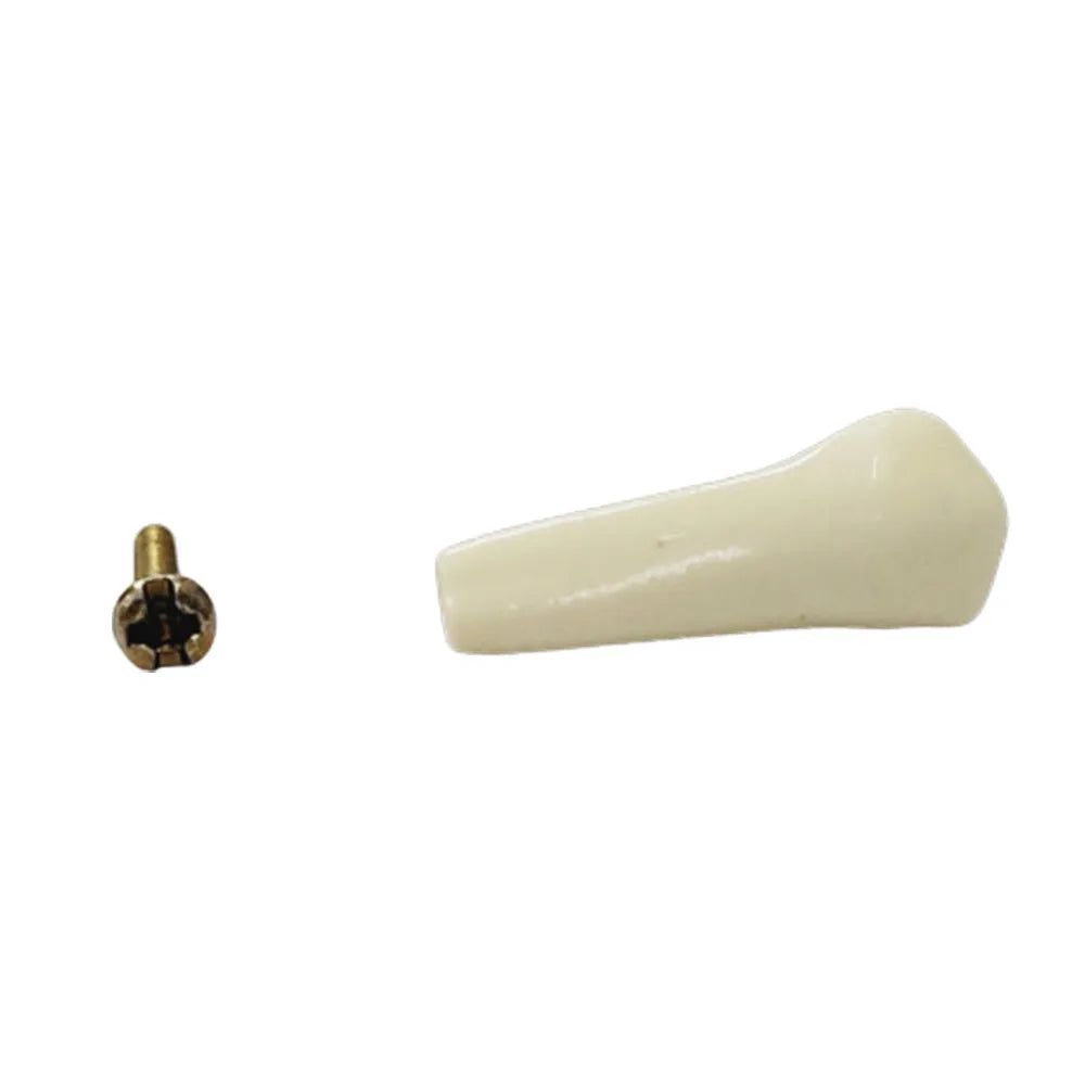 API Typodonts Individual B561 - Adult Size