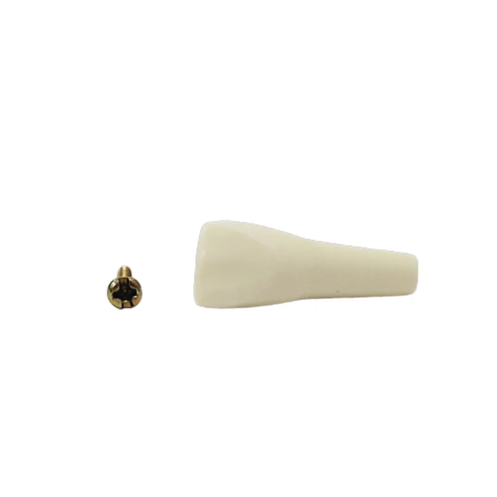 API Typodonts Individual B561 - Adult Size