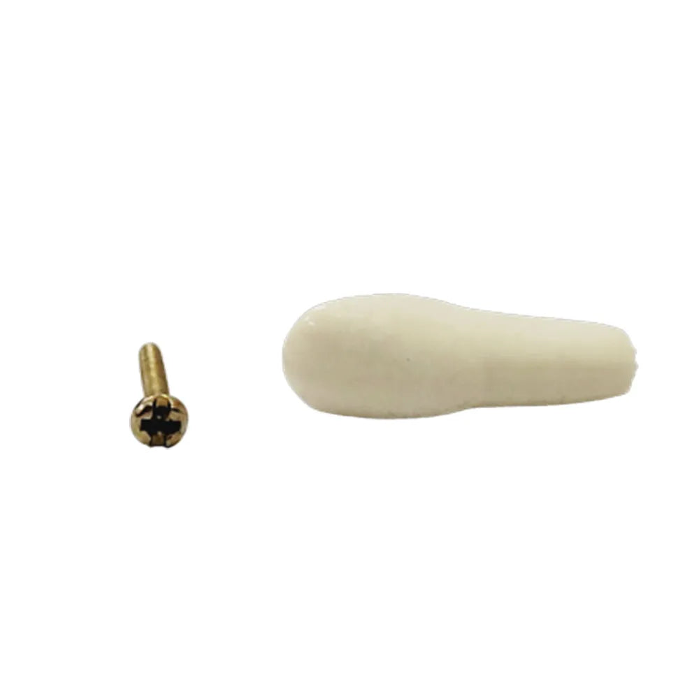 API Typodonts Individual B561 - Adult Size