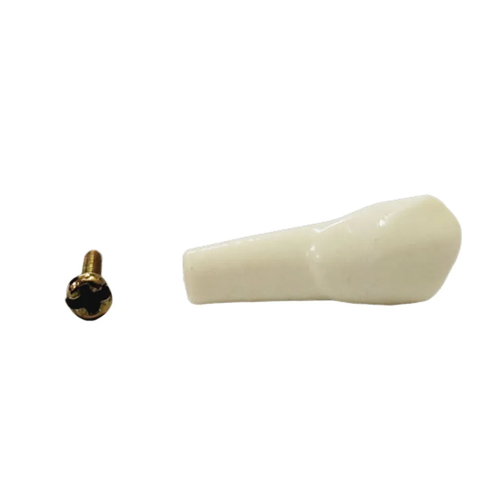 API Typodonts Individual B561 - Adult Size