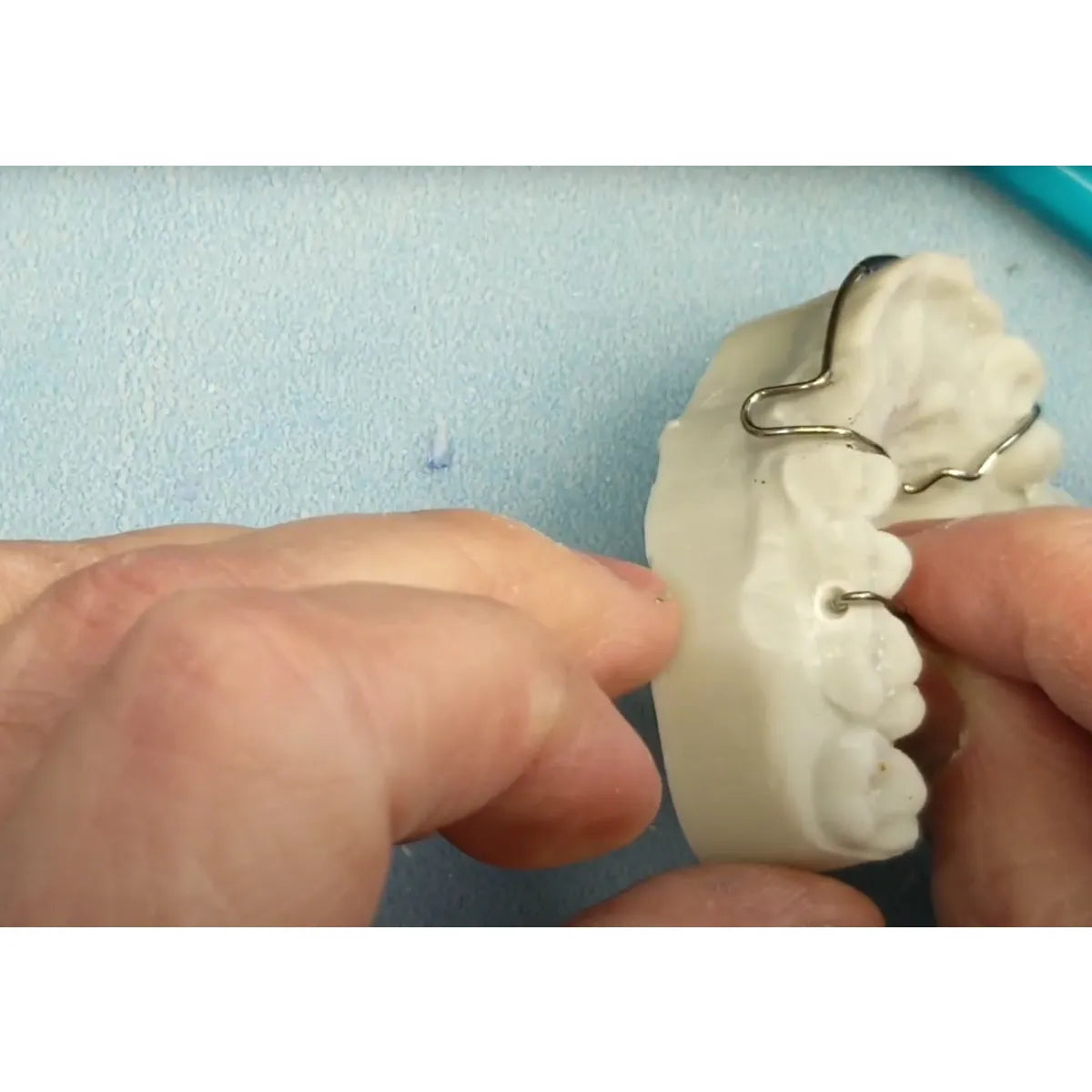 TP Ortho Ball End Clasps .028" or 0.7 mm - 50/pk