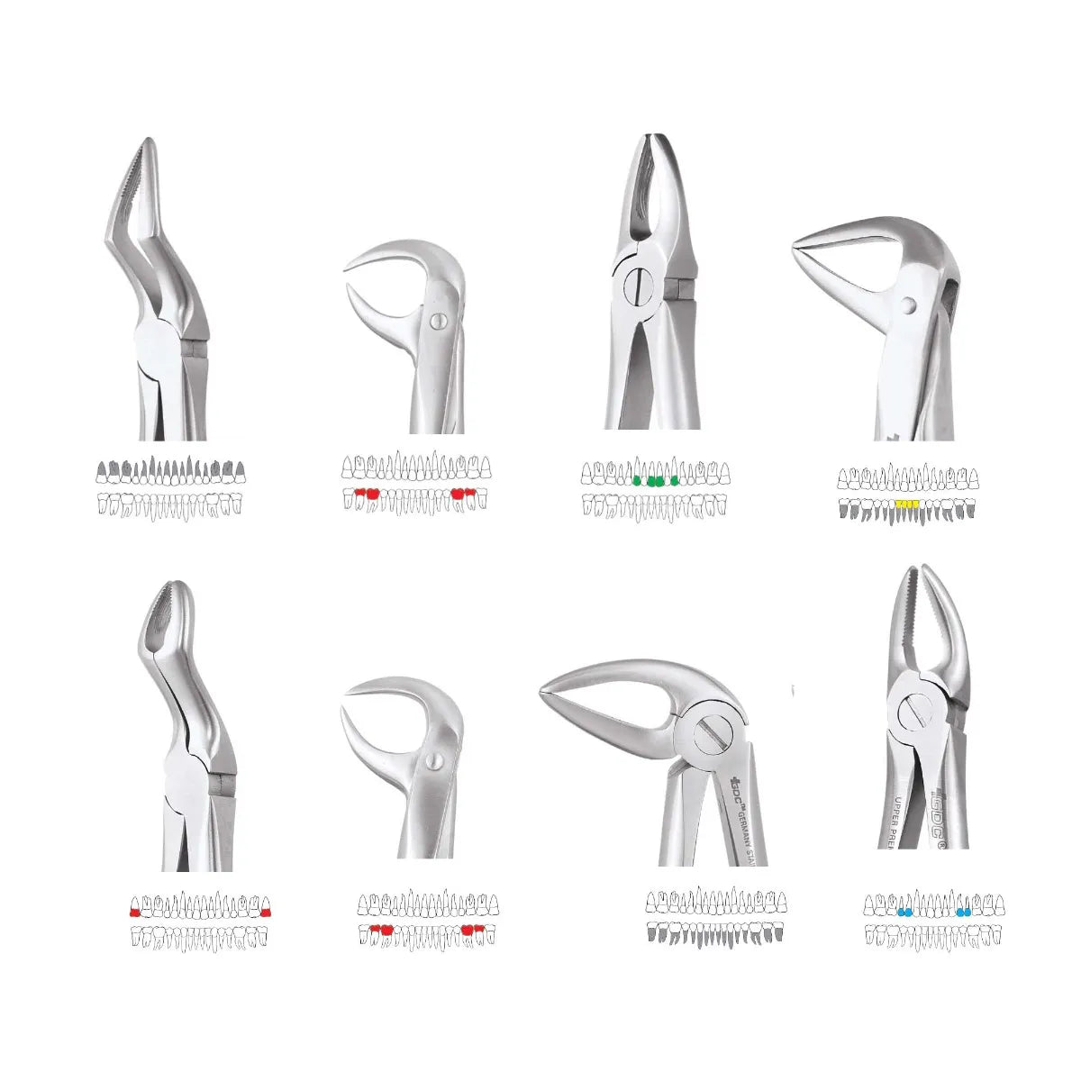 GDC Extraction Forceps Premium
