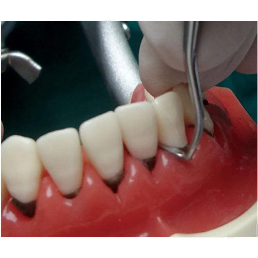 GDC Crane Kaplan Knife #6 (Kck3)