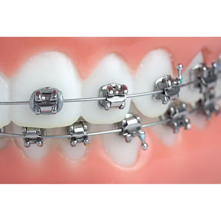 Denmax Ortho Standard MBT 022 Conventional Brackets