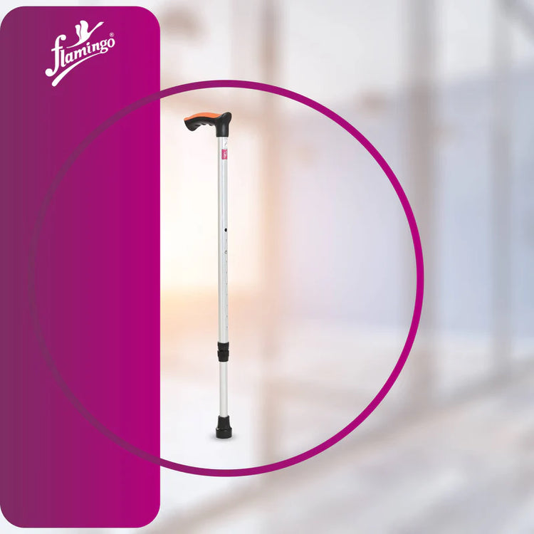 Flamingo Walking Stick Single