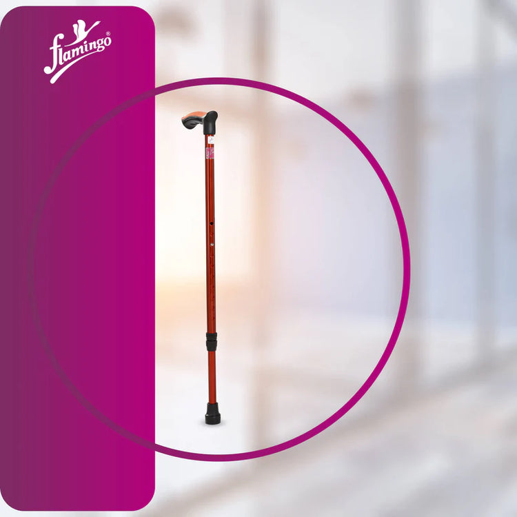 Flamingo Walking Stick Single