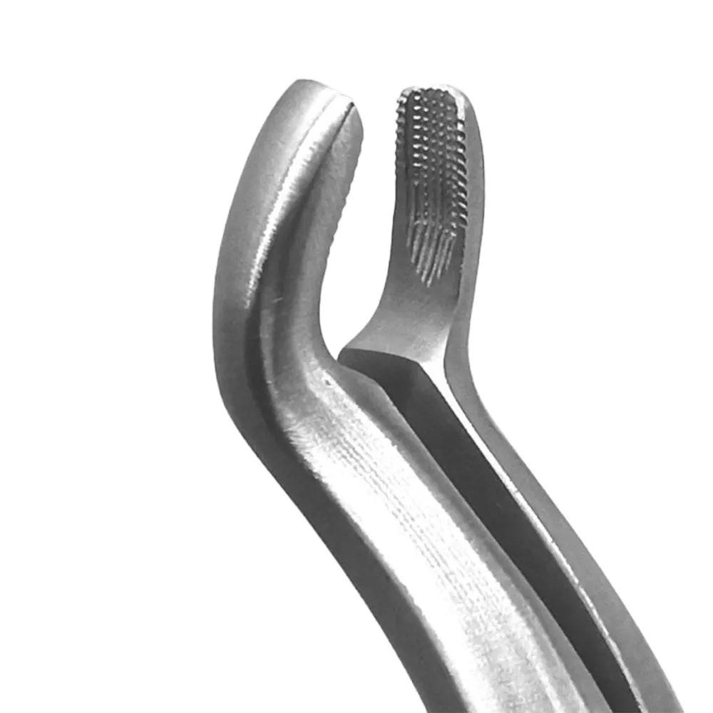 GDC Extraction Forceps Upper Third Molars - 67a Premium (Fx67ap)