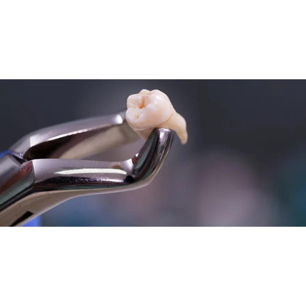 GDC Extraction Forcep Lower Third Molars - 79 Atraumatic (AFX79)