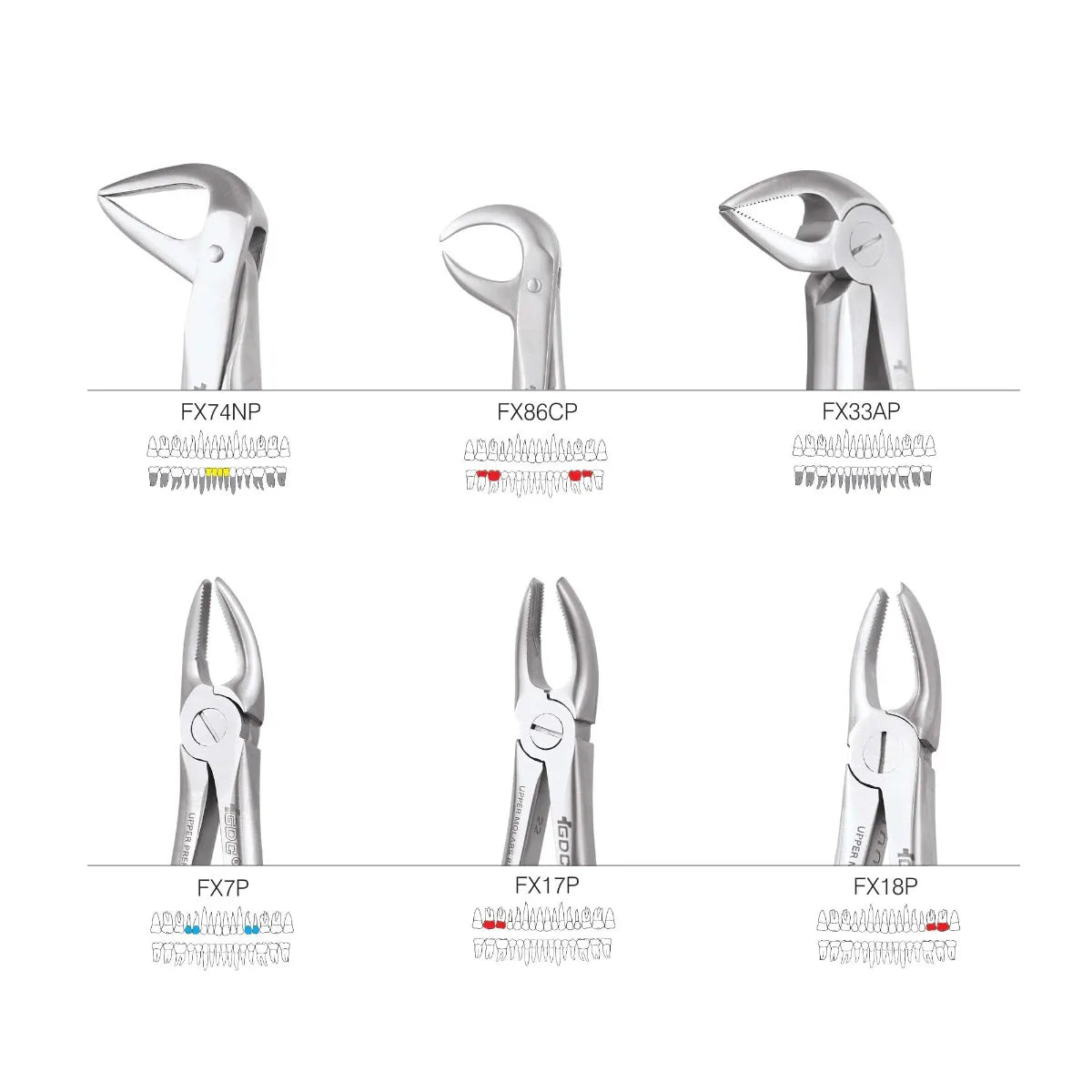gdc_extraction_forceps_premium-2_1
