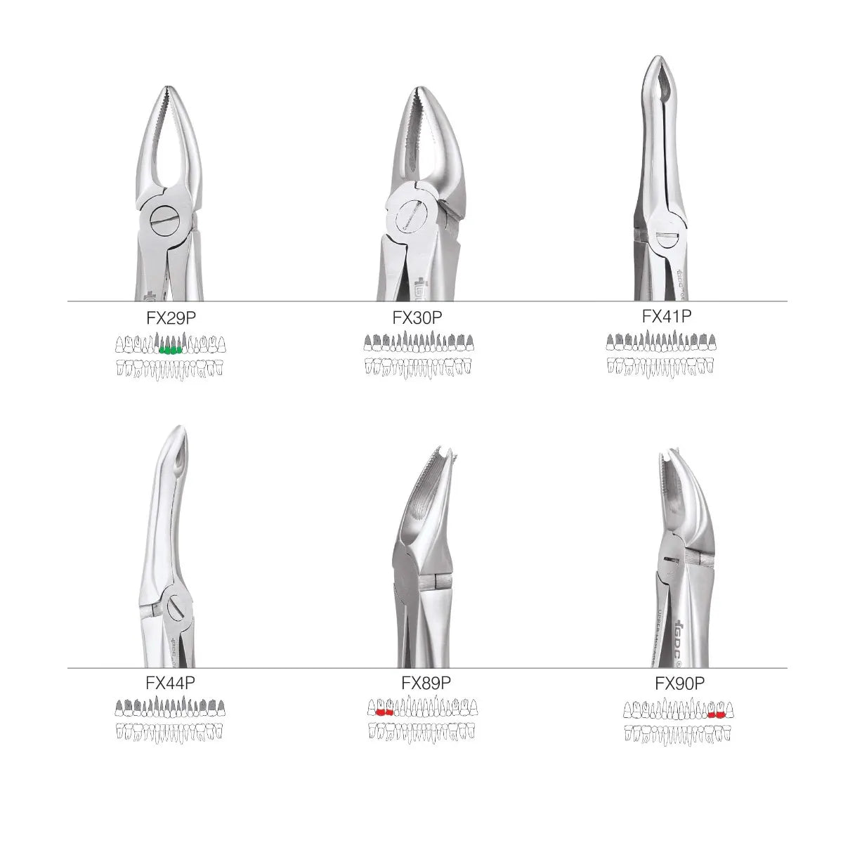 gdc_extraction_forceps_premium-3_1