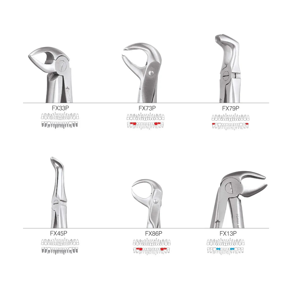 GDC Extraction Forceps Premium