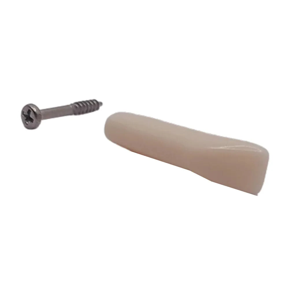 iDENTical Typodonts For Frasaco Type Jaw Set Individual M8022