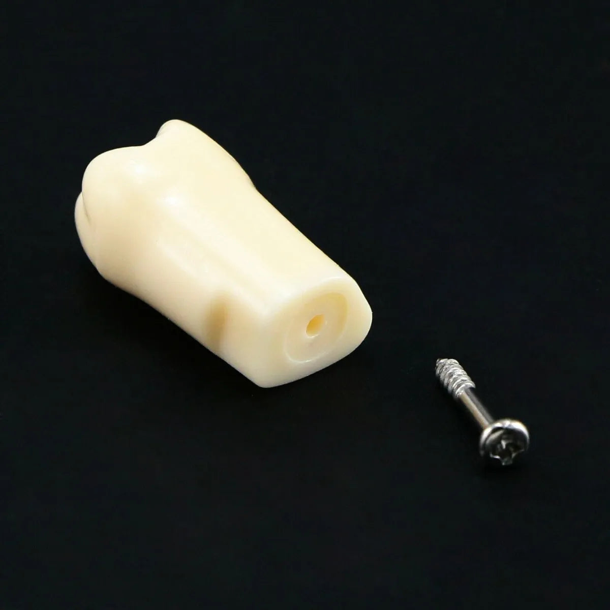 iDENTical Typodonts For Frasaco Type Jaw Set Individual M8022
