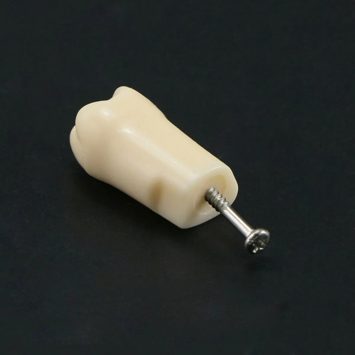 iDENTical Typodonts For Frasaco Type Jaw Set Individual M8022