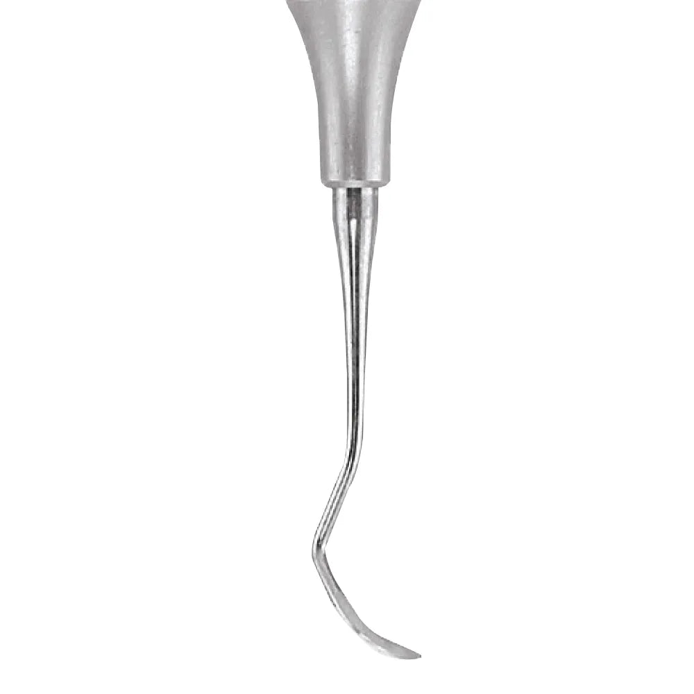 GDC Sickle Scalers Posterior #6 (S204s)