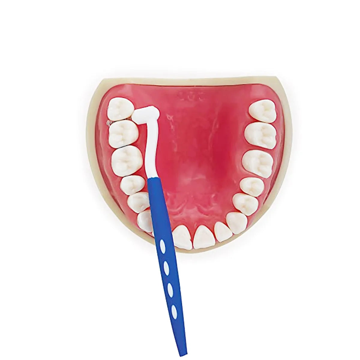 Medicept Protec Angled Interdental Brush (Pack Of 5)