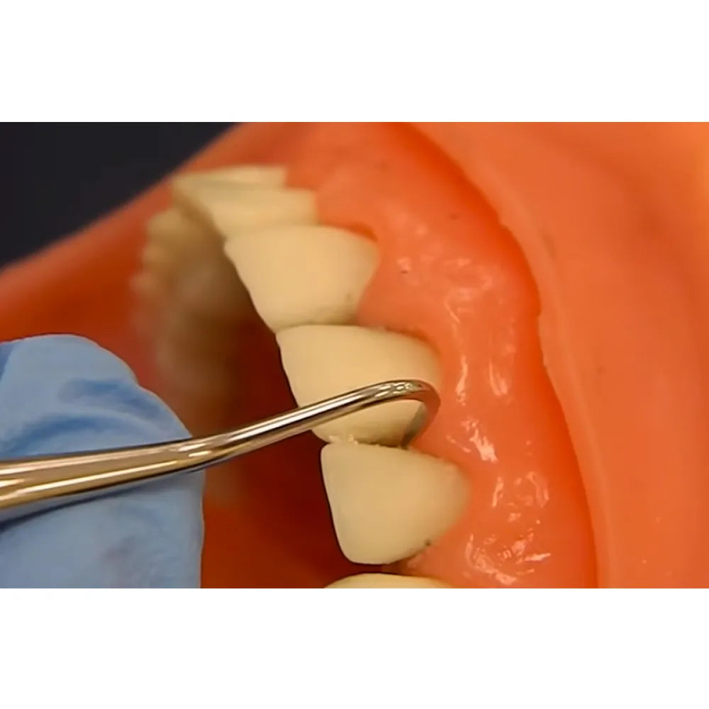 GDC Sickle Scalers Anterior #6 (Sn137)