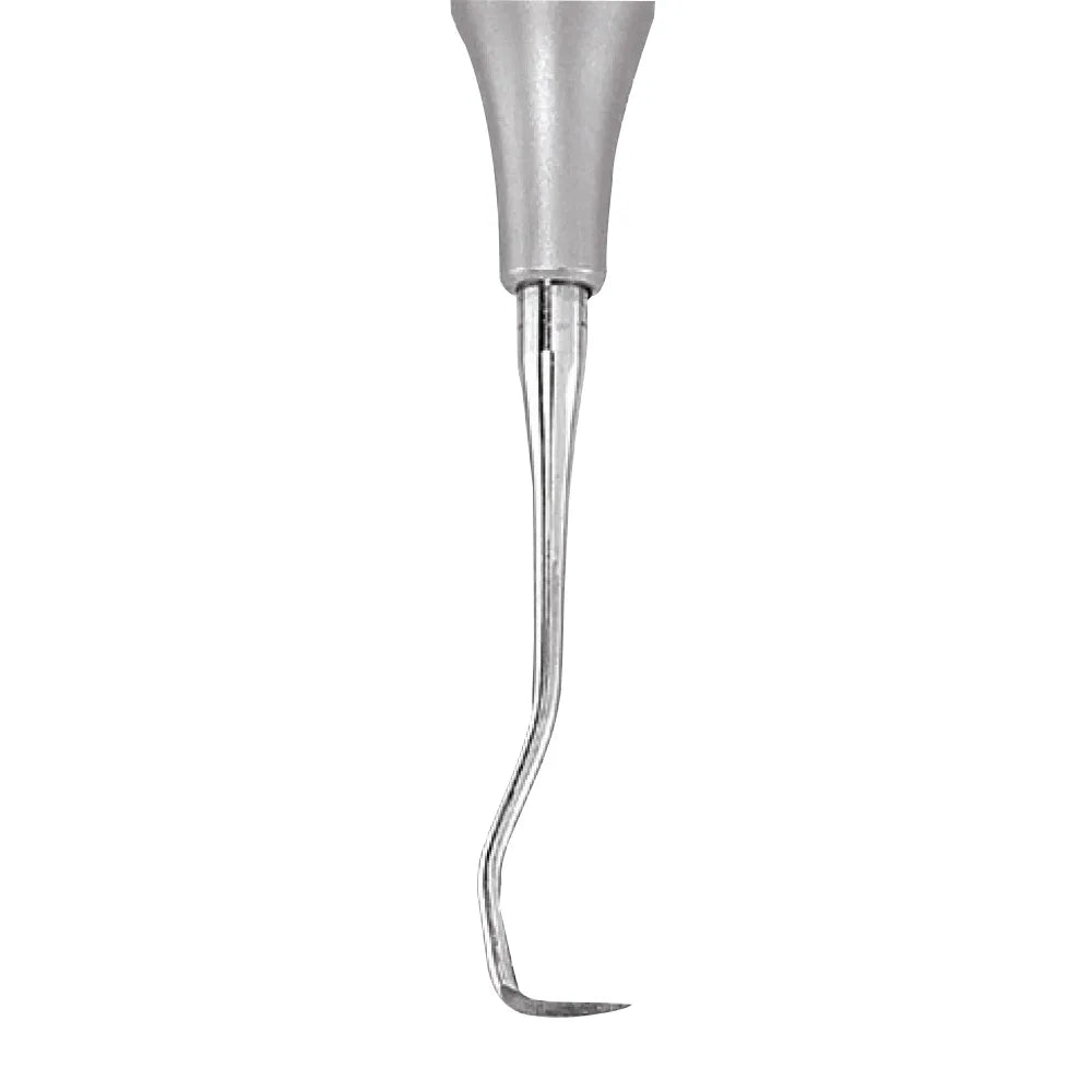 GDC Sickle Scalers Towner - Jacquette #6 (Su15/30)