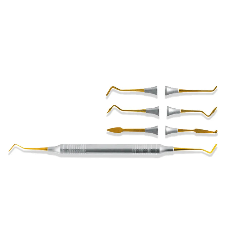 API Composite Gold T.C Hollow Handle (Set of 6)