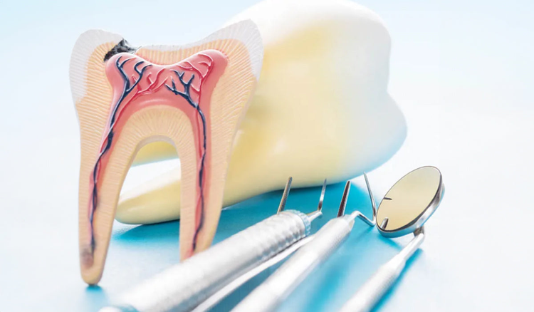 Endodontics