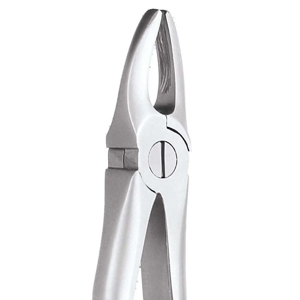 GDC Extraction Forceps Premium In Pouch Premium (EFPP12)