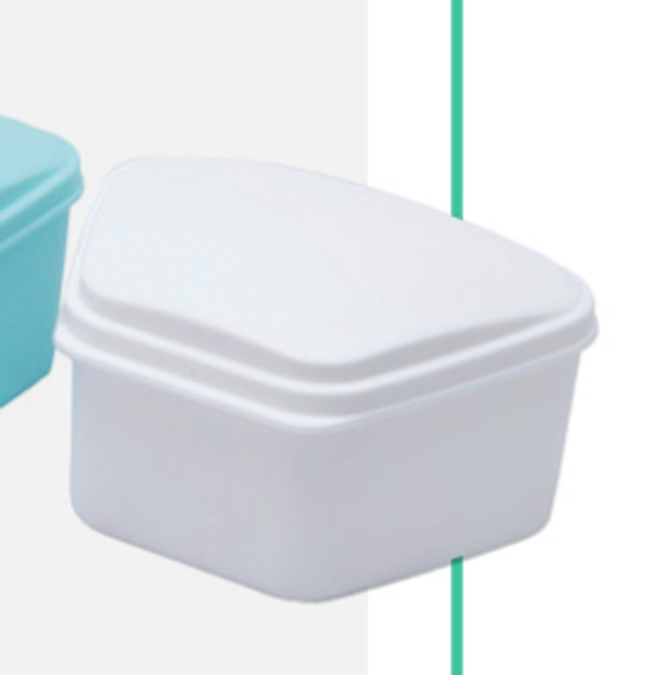 Dentogenie Denture Box with Net