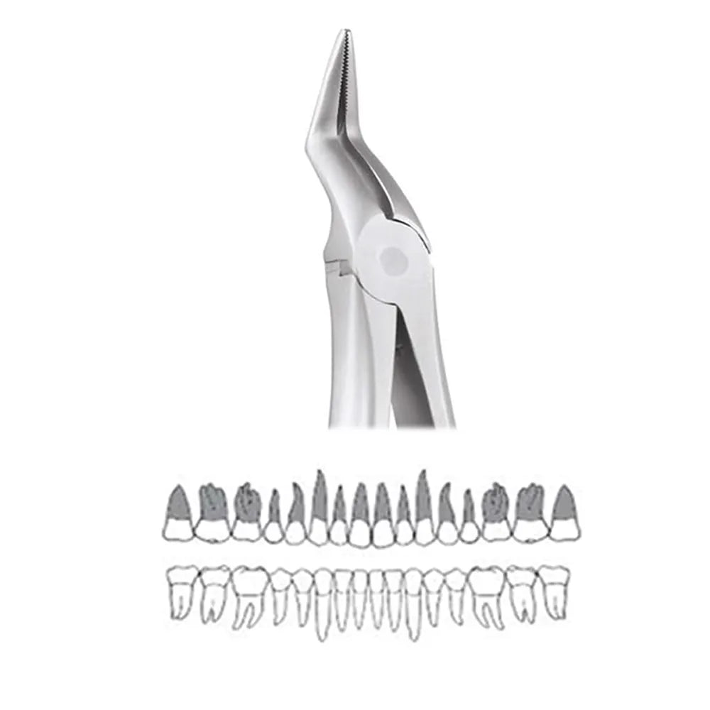GDC Extraction Forceps Upper Roots - 197.11 Secure (SFX197.11)