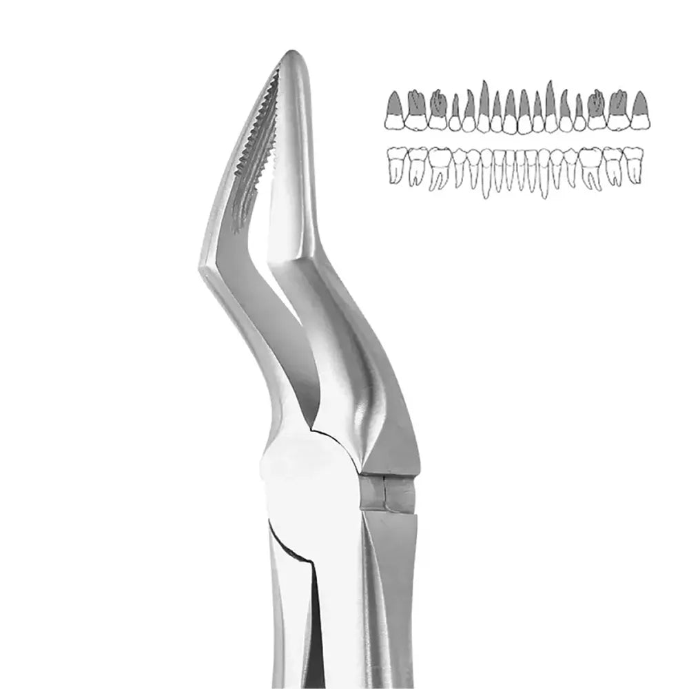GDC Extraction Forceps Upper Roots - 51A Standard (FX51AS)