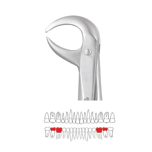 GDC Extraction Forceps Lower Molars - 86C Standard (FX86CS)