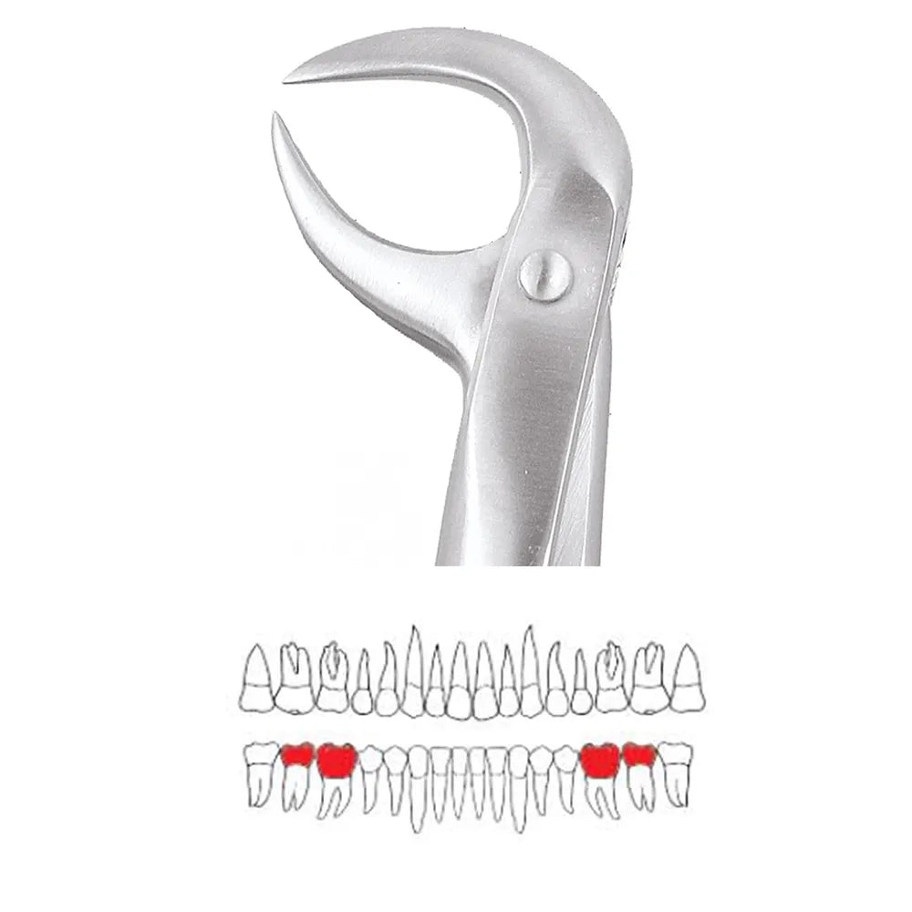 GDC Extraction Forceps Lower Molars - 86b Premium (FX86BP)