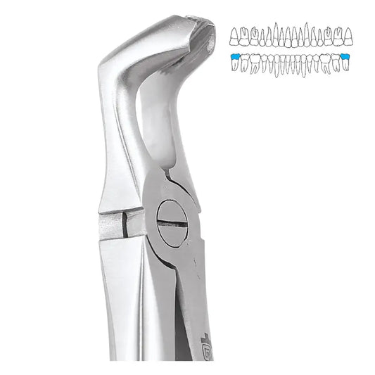 GDC Extraction Forcep Lower Third Molars - 79 Standard (FX79S)