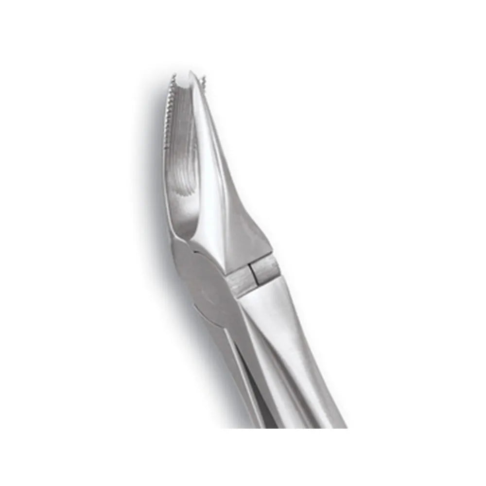 GDC Extraction Forceps Upper Molars Right Standard - (FX89S)